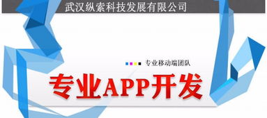 武漢縱索App開發(fā)外包公司 專業(yè)辦公系統(tǒng)軟件開發(fā)定制與軟件外包服務(wù)